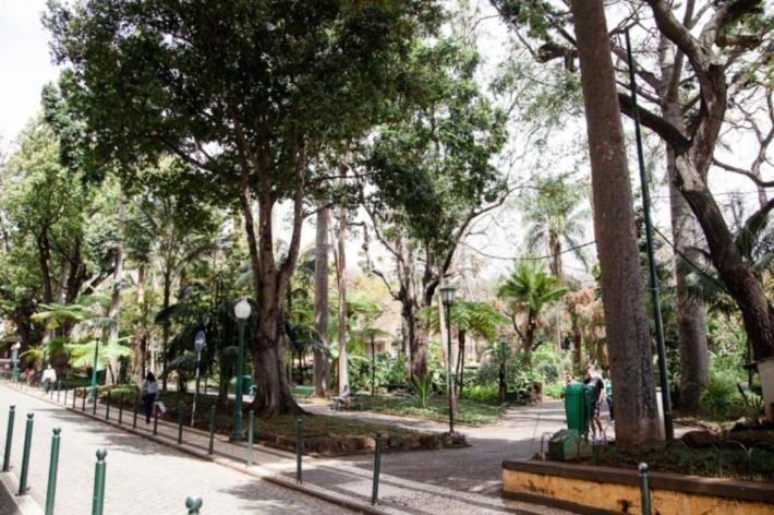 Central Funchal Apartment - Garden - Free Parking & Ac Zewnętrze zdjęcie